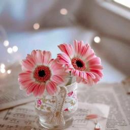 محبوبه قربانی